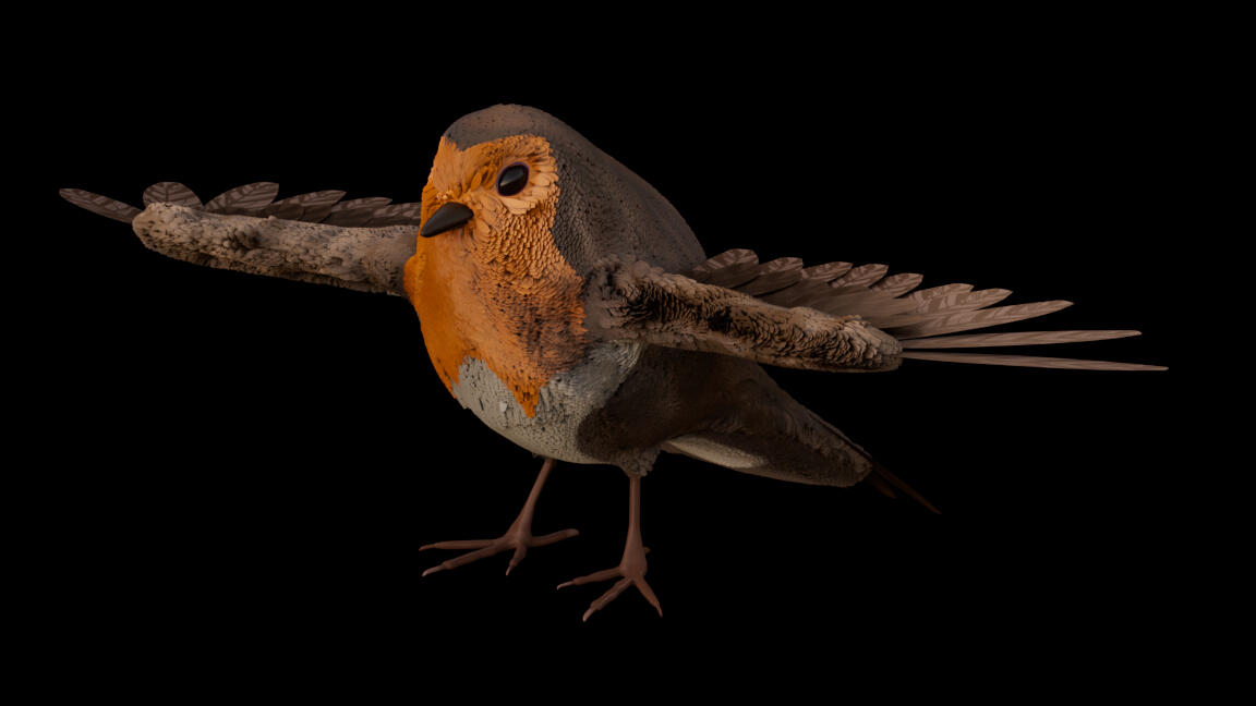 Bird Model (Personal Project)