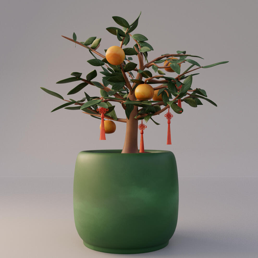 Plant Model (The Boy and The Goldfish)